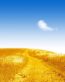 Fall Colors Adhesive Wall Graphics 65