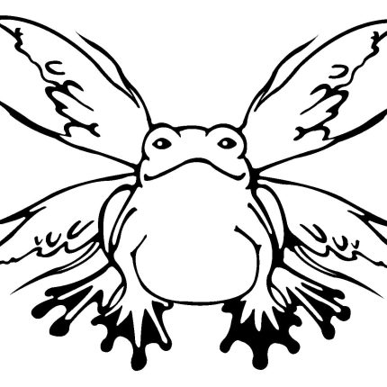 Frog Butterfly Decal