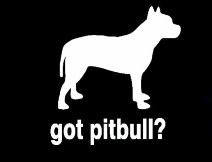 got pitbull die cut decal 33