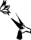 Humming Bird Birds Animal Animals Vinyl Decal Sticker