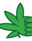 medical marijuana thumbs up sticker