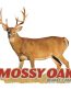 Mossy Oak Broadside Whitetail Buck Color Deer Sticker