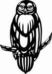 Owl Owls Animal Animals Vinyl Decal Sticker