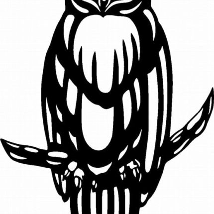 Owl Owls Animal Animals Vinyl Decal Sticker