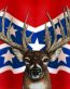 rebel battle flag and deer head sticker