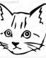 Sad Kitty Head Decal