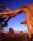 Sand and Deserts Vinyl Wall Graphics 10