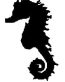 Silhouette - 123