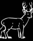 Standing Whitetail Deer 2 Vinyl Hunting Sticker