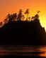 Sunrise and Sunsets Wall Decals 075