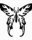 Tribal Butterfly Vinyl Sticker