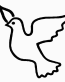 Dove decal