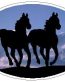 Oval Runniing Horse Decal