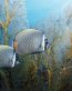 Buildings and Landscape Wall Decals 095