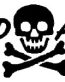 bad ass boys skull decal