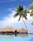 Beaches and Coastal Vinyl Wall Graphics 034