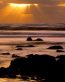 Beaches and Coastal Vinyl Wall Graphics 165