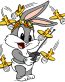 BUGGS BABY RC