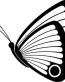 Butterfly Vinyl Window or Wall Decal 2
