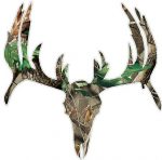 CAMO DEER SKULL 2