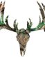 CAMO DEER SKULL 2