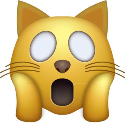 CAT OMG Emoji