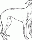 Dog Breed Decal 24