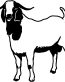 goat farming decal