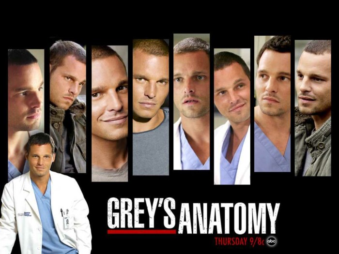 Greys Anatomy Wallpaper Sticker