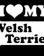 I Love My Weilsh Terrier