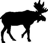 Moose Decal