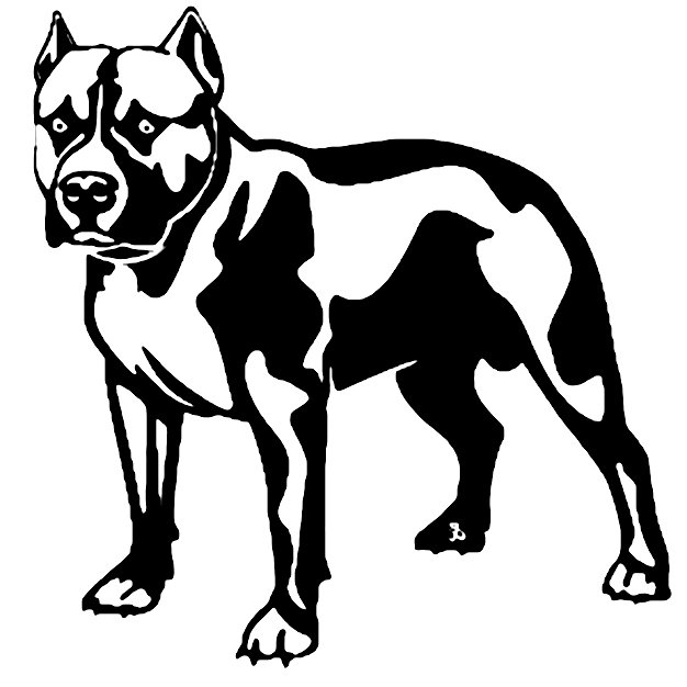 Pitbull Vinyl Car Decal 14