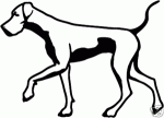 Pointer Hunting Dog Decal