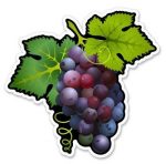 Purple Grapes Vinyl Sticker Waterproof Decal