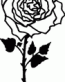 Rose Decal 7