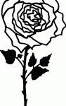 Rose Decal 7