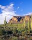 Sand and Deserts Vinyl Wall Graphics 38
