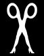 scissor sisters band logo