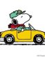 snoopy DRIVING charlie-brown-snoopy