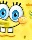 SpongeBob logo wallpaper sticker