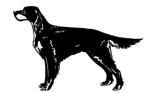 052 Irish Setter Decal