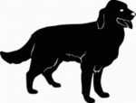 Golden Retriever Dog Decal