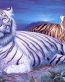 3D Fairies and Fantasy Wall Graphics 143