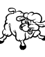 Sheep decal