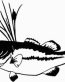 Big Mouth Bass Vinyl Diecut Car Decal