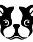Boston Terrier Decal CUTE FACE