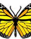 butterfly sticker YELLOW color