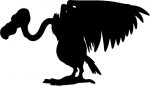 Buzzard Bird Birds Animal Animals Vinyl Decal Sticker