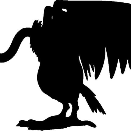 Buzzard Bird Birds Animal Animals Vinyl Decal Sticker