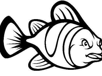 clown fish die cut decal